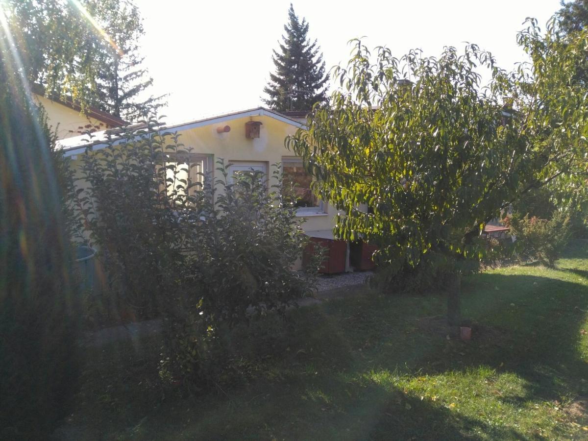 Greenhouse Just 15 Min From The Old Town Bratislava Ngoại thất bức ảnh
